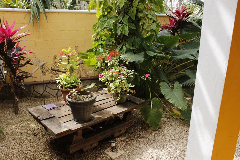 Posada Ya'Ax Ich Izamal Ngoại thất bức ảnh